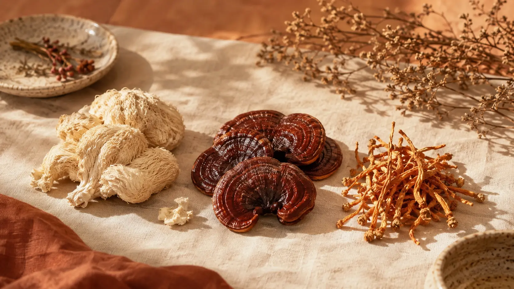 Lion's mane, reishi and cordyceps mushrooms arranged together